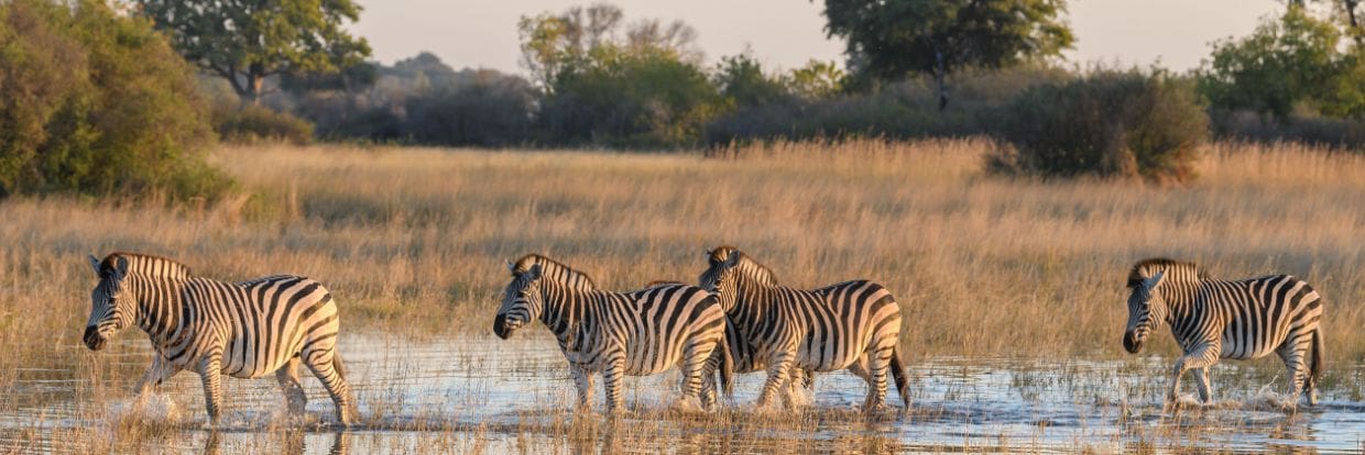 Namibia / Botswana