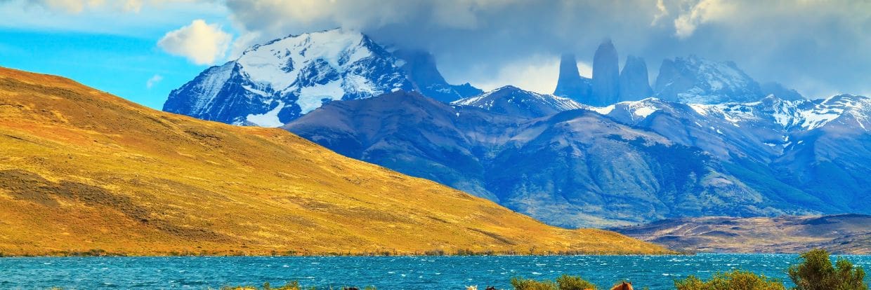Chile South Jan