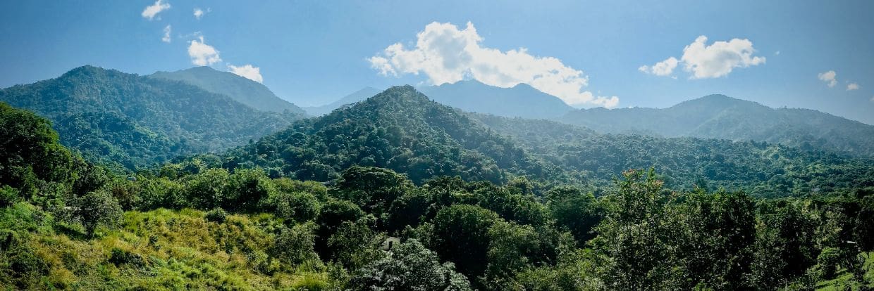Colombia Central Highlands Jul