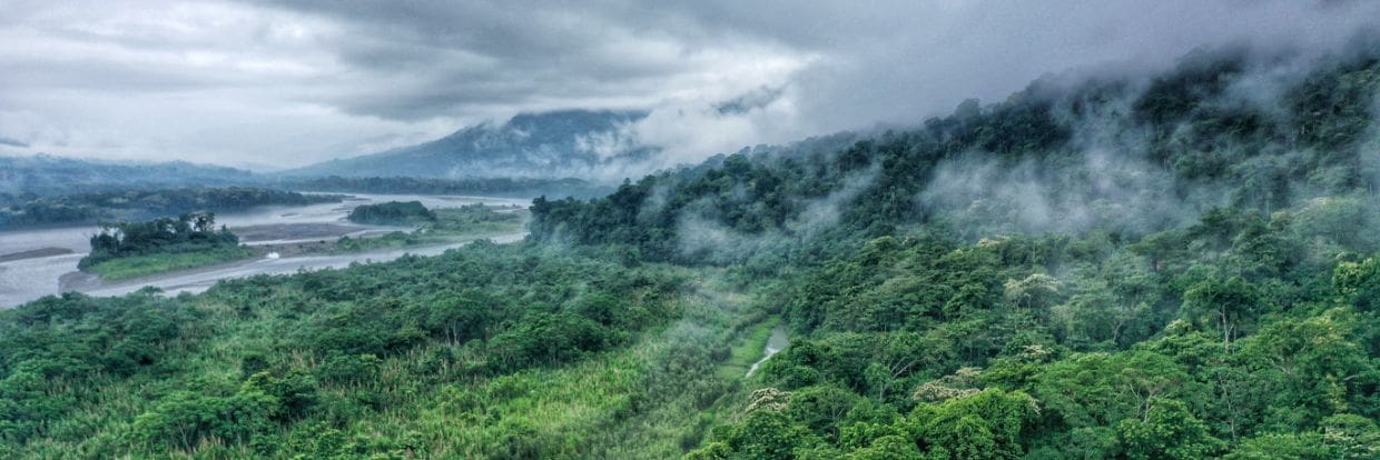 Colombia Southeast Rainforest Feb