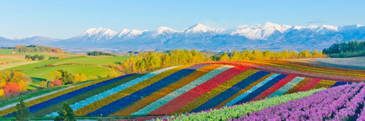 Hokkaido / Eastern Honshu, Japan