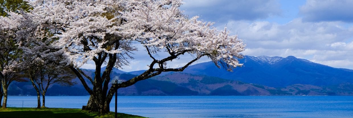 Japan North Honshu Jan