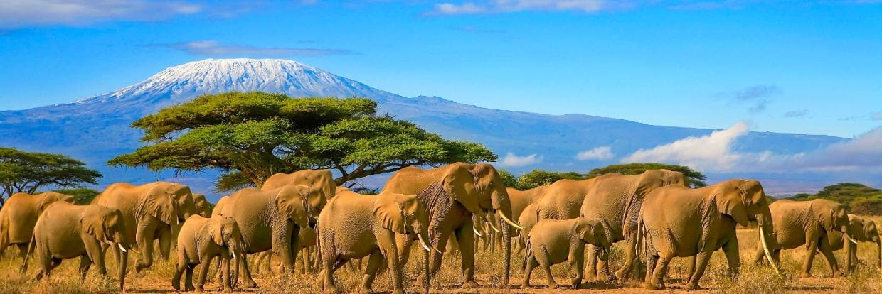 Kenya Central Highlands Jun