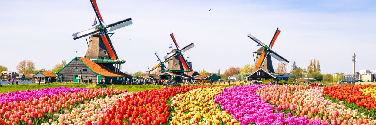 Netherlands Jun