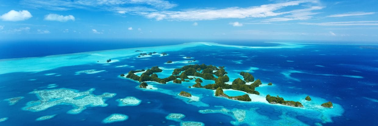 Palau Jun